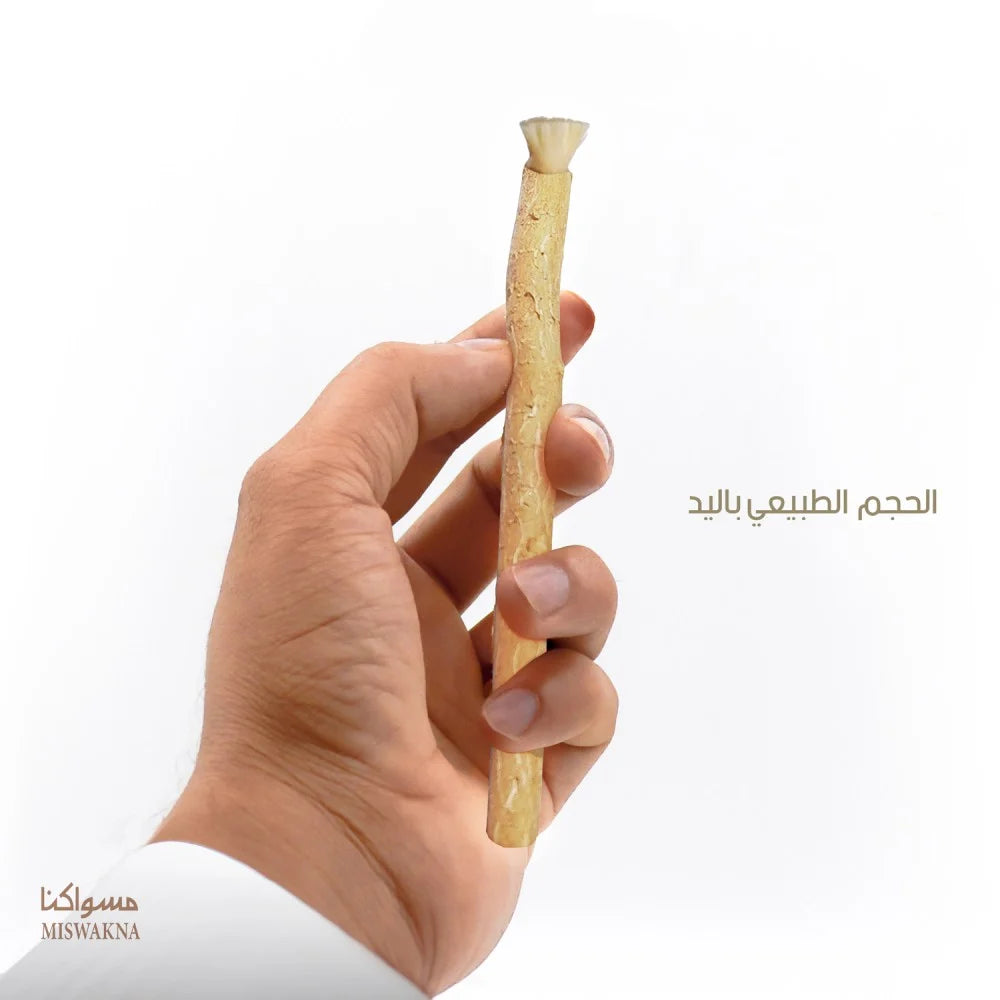 عبوة مسواك فاخرة 10 حبات