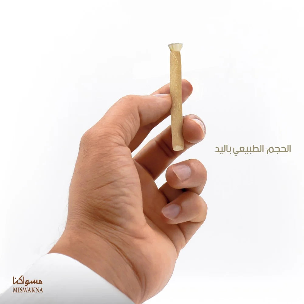 عبوة مسواك مني 25 حبة بو حنش