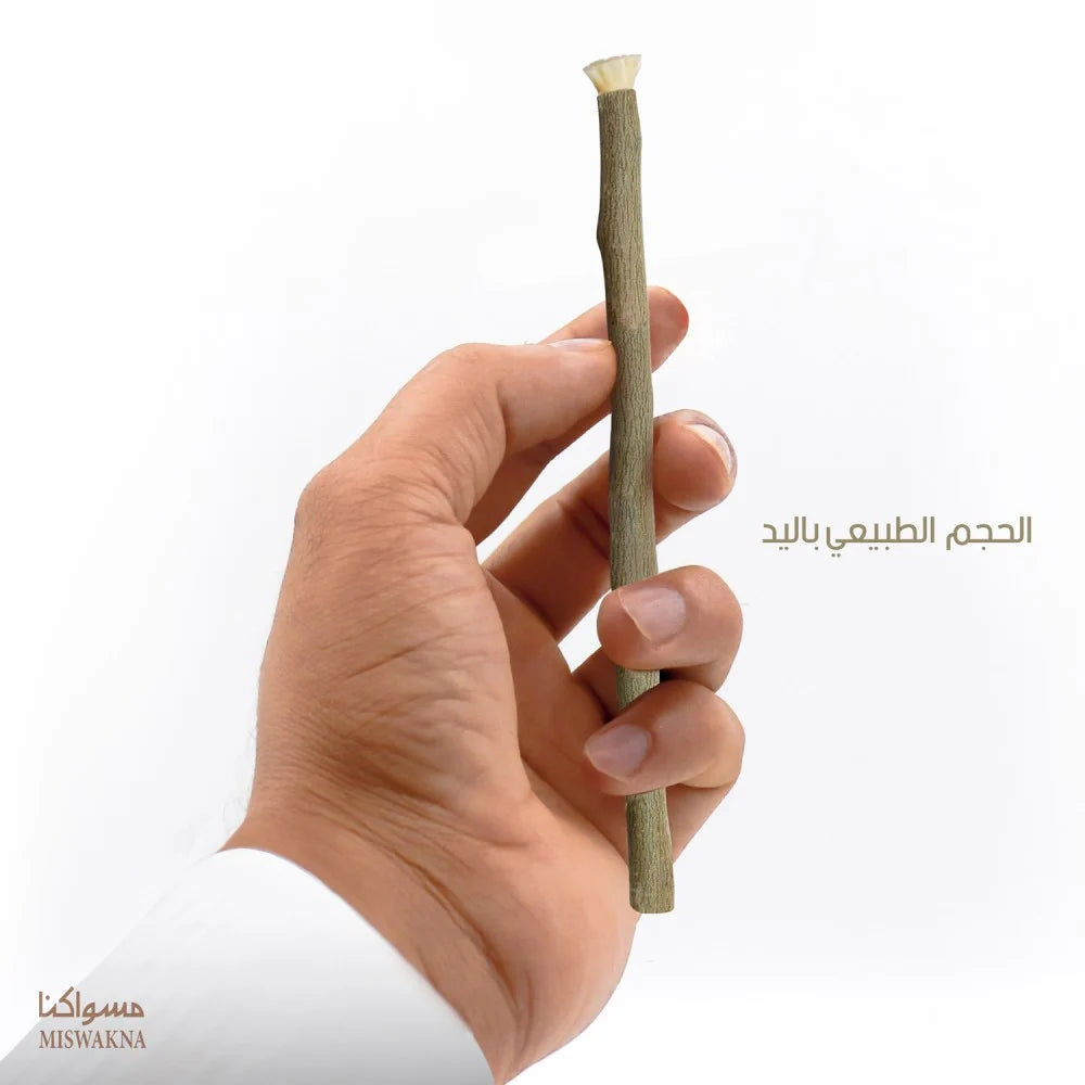 عبوة مسواك بشام (10 حبات)
